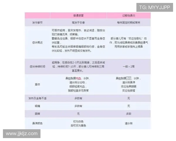 篮球比赛中争议球处理规则的判定依据与流程解析